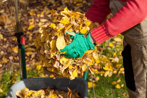 Professional garden clearance in Bounds Green